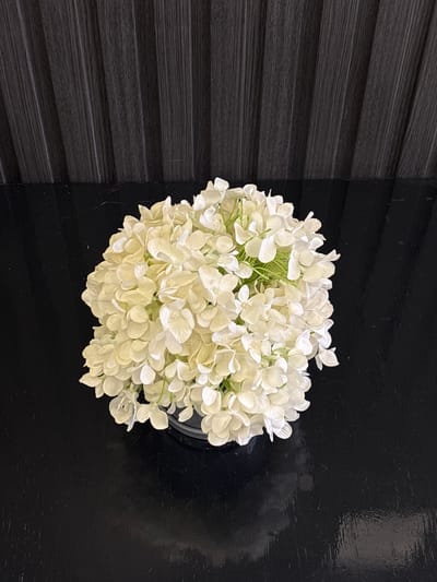 A bouquet of white hydrangeas sits in a dark container on a black, reflective surface. Behind the flowers, a dark, textured wall with vertical lines serves as the backdrop. The scene appears to be an indoor setting, possibly a home or commercial establishment, in Ayn al Basha, Jordan.
