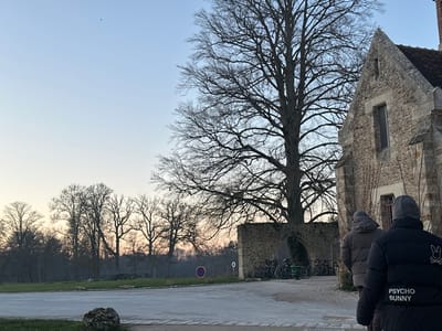 The image depicts an outdoor scene in Cernay-la-Ville, France, specifically within or adjacent to the grounds of the Château de Cernay-la-Ville, during twilight hours (either sunrise or sunset) in a late autumn or winter setting. The sky exhibits a gradient from light blue at the zenith to a subtle orange-pink near the horizon.
In the foreground and midground, a paved path or driveway extends and curves towards the right side of the frame. On the right, a multi-story building constructed of light grey stone features a steeply pitched, tiled roof. The building's exterior shows clinging bare ivy or vines and at least one tall, narrow window with dark framing.
Two individuals are visible from behind, walking in the direction of the stone building along the paved surface. The person in the immediate foreground, on the right, wears a black puffer jacket with the words "PSYCHO BUNNY" and a white rabbit logo prominently displayed on the back, along with a grey beanie. Slightly ahead and to their left, a second person wears a lighter grey or beige puffer jacket and a grey beanie. No direct interaction between the two individuals is discernible.
Behind the stone building, a large, bare deciduous tree with extensive branching stands prominently. To the left of this tree, a lower stone wall with an arched opening is visible. Approximately 8-10 bicycles are parked in a rack against this wall, adjacent to the archway. Further in the background, a dense line of bare deciduous trees forms a distant boundary. A circular red and blue road sign is partially visible among these trees on the left side of the paved path. A large, irregular stone boulder rests on the grassy verge in the bottom left corner of the image. The ground consists of green grass bordering the paved areas.