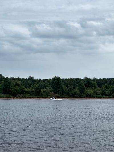 The image depicts a wide, calm body of water, likely a river, with a densely forested shoreline in the background. The sky is overcast with grey clouds, suggesting a cloudy day. On the water, a white speedboat with a blue stripe is visible in the mid-ground, creating a wake as it moves. The shoreline is lined with dark green trees, some of which are taller and form a dense canopy. The water's surface is rippled, reflecting the dull light. This scene is consistent with the natural landscape found in areas such as Nevskaya Dubrovka, Russia, which is characterized by its proximity to water bodies and extensive forests.