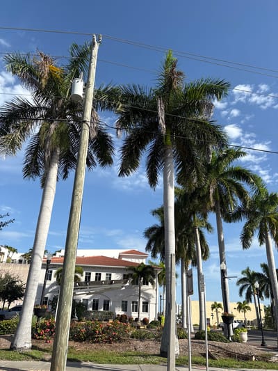 The image depicts a street scene in Punta Gorda, United States of America, characterized by lush palm trees and a bright blue sky with scattered clouds. In the foreground, two utility poles stand prominently, with a white electrical transformer mounted on the left pole. Several tall palm trees with green fronds dominate the mid-ground, interspersed with power lines stretching across the frame.
Behind the palm trees, a white building with a red-tiled roof is visible. The building features multiple windows and appears to be a commercial or institutional structure. A planter box with red flowers and green foliage is situated in front of the building. Further in the background, other buildings and palm trees can be seen, suggesting an urban or suburban environment. The street is paved, and there are signs and streetlights along the side of the road. The overall impression is that of a sunny day in a tropical or subtropical climate. There are no people visible in the image.