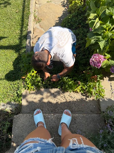 In Chavei, Bulgaria, a person is observed from a first-person perspective, standing on concrete steps wearing light blue slide sandals and ripped denim shorts. The viewpoint looks down at their legs and feet, then up towards a person in a white t-shirt and blue shorts who is kneeling and tending to a patch of strawberry plants. The kneeling individual is reaching into the plants, suggesting they are either harvesting or inspecting them. Surrounding the strawberry patch is lush green grass, stone pavers, and the vibrant pink flowers of a hydrangea plant, indicative of a garden setting. The scene is bathed in sunlight, casting shadows from the foliage and creating a bright, outdoor ambiance.