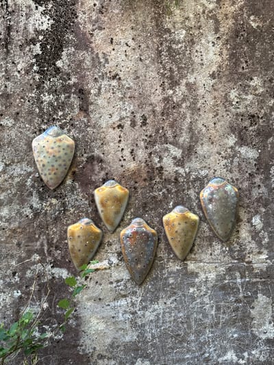 Six metal objects, shaped like teardrops with rounded tops and pointed bottoms, are arranged on a rough, lichen-covered stone surface. Each object is adorned with small, dark circular indentations. The objects exhibit a patina of gold, bronze, and iridescent blue hues, with some appearing brighter and more metallic than others. The stone surface is textured with a mix of grey, white, and dark grey patches of lichen and a few faint, scratch-like markings. A small cluster of green leaves and thin, dry twigs is visible in the lower left corner, partially obscuring the stone. The overall scene is an outdoor setting, likely a natural rock face or wall. The location is described as Verzasca, Switzerland.
