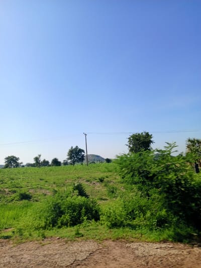 The image depicts a rural landscape under a clear blue sky. In the foreground, a dirt road or path with scattered pebbles is visible. To the right, a dense, green shrubbery occupies a significant portion of the frame. Beyond this, a lush green field stretches out, dotted with various trees of different sizes. A solitary utility pole with wires running across it stands prominently in the mid-ground, separating the field from a distant hill. The overall impression is one of a sunny day in a natural, undeveloped area. The image does not contain any discernible elements that would allow for the identification of a specific location within Jama'a, Nigeria, or any human presence.