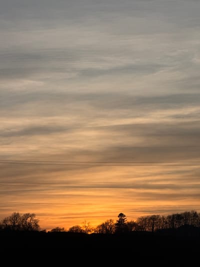 The image depicts a rural landscape at either dusk or dawn in Fowlis Easter, United Kingdom. The sky occupies approximately 80% of the frame, exhibiting a horizontal color gradient from a light grey at the top to a vibrant orange along the horizon. Horizontal, wispy cloud formations are visible throughout the sky, becoming more distinct in the warmer orange tones. Three parallel, thin, dark lines, identified as power or communication cables, traverse the mid-section of the sky horizontally. Below these lines, the landscape is rendered in a deep black silhouette, representing a treeline and ground. The trees, primarily deciduous with bare branches, include at least one prominent coniferous tree shape towards the right side of the frame. No individuals, animals, or specific man-made structures other than the overhead lines are present.