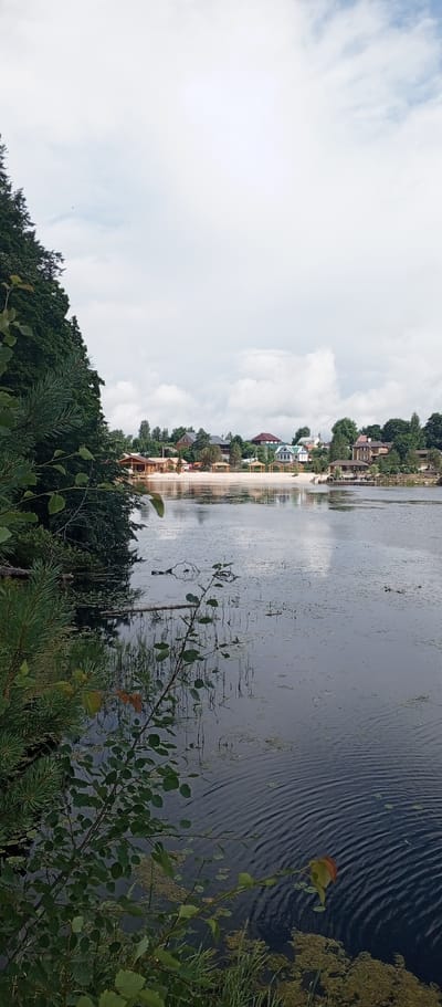 The image depicts a serene natural landscape with a body of water in the foreground, reflecting the cloudy sky. The left side of the frame is dominated by lush green foliage, including pine branches and leaves. The water's surface is calm, with ripples spreading outwards, and scattered aquatic plants or debris. In the background, a sandy beach is visible, leading to a settlement with several houses and structures. Some of these buildings appear to be wooden, with visible roofs and windows. There are also several awnings or pergolas along the beach. The overall impression is of a peaceful, rural or semi-rural environment, likely a lakeside or riverfront area. The location is identified as Rozhdestveno, Russia, suggesting a settlement on the banks of a river or lake. There are no people or animals visible in the image. The weather appears overcast with diffused light.