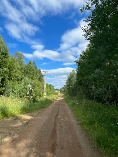An eye-level, full shot depicts a dirt road leading through a rural landscape on a sunny day. The road, with visible tire tracks, is flanked by lush green trees and tall grass. On the left side of the road, a utility pole with wires is visible amidst dense foliage. The sky above is a vibrant blue, dotted with scattered white clouds. The scene is likely located in or around Dresvyanovo, Russia, given the characteristic rural Russian landscape. There are no people or animals present in the image. The overall impression is one of natural beauty and tranquility.