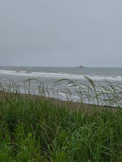 The image captures a coastal scene with lush green grass in the foreground. Beyond the grass, a sandy beach stretches towards a gray, choppy ocean under an overcast sky. Waves crash onto the shore, creating white foam. In the distance, on the horizon, a small red and white ship is visible. The scene appears to be a natural landscape, likely a beach near Uglegorsk, Russia, characterized by its wild vegetation and maritime elements.