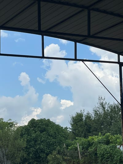 The image, taken in Golubitskaya, Russia, depicts a view through an open-sided structure with a corrugated metal roof supported by dark metal beams. The sky is blue with scattered white cumulus clouds. Below the sky, a dense line of green trees and vegetation forms the lower portion of the frame, with some appearing to be overgrown and wild. A thin, rusted metal support pole is visible on the right side of the image. The scene suggests an outdoor area, possibly a farm, garden, or rural property.