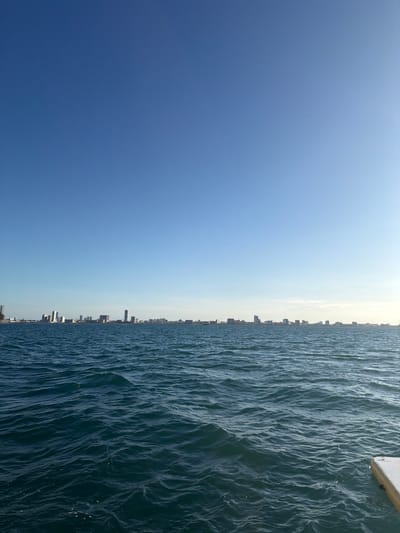 This image displays a wide view of the ocean with the skyline of Veracruz City, Mexico, visible on the horizon under a clear blue sky. The foreground is dominated by choppy, dark blue-green water with visible ripples and small waves. On the extreme bottom right, a small portion of a light-colored, possibly wooden, rectangular structure or dock platform is partially visible. The middle ground features the distinct silhouette of a city skyline, composed of numerous buildings of varying heights, including several multi-story structures and high-rises, stretching horizontally across the entire frame. The background consists of a bright, cloudless sky, predominantly clear blue, transitioning to a lighter blue near the horizon, especially towards the right side. No individuals, specific actions, or direct interactions are discernible within the frame. The scene is illuminated by natural daylight.