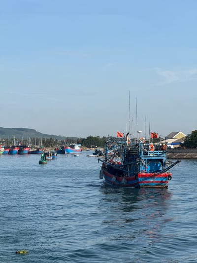 The image depicts a harbor scene in An Hai, Vietnam, with numerous fishing boats moored in the calm blue water. The boats are predominantly blue and red, with some featuring Vietnamese flags. In the foreground, a large, colorful fishing vessel is prominent, its intricate rigging and multiple antennas suggesting it is actively used for fishing. Several other boats are visible in the background, lining the shore. A green buoy with a white number "5" floats in the middle ground. The backdrop consists of a lush green hillside dotted with trees and some buildings. The sky is clear and pale blue, indicating fair weather. The overall impression is one of a bustling fishing community in a coastal Vietnamese town.