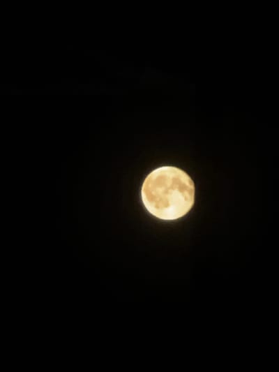 The image shows a full moon against a black sky. The moon is a pale yellow color and appears to have some craters visible on its surface. The sky is completely dark, indicating that it is nighttime. There are no other objects or details visible in the image. The location in the city of Baryshevo, Russia is not discernible from the image.