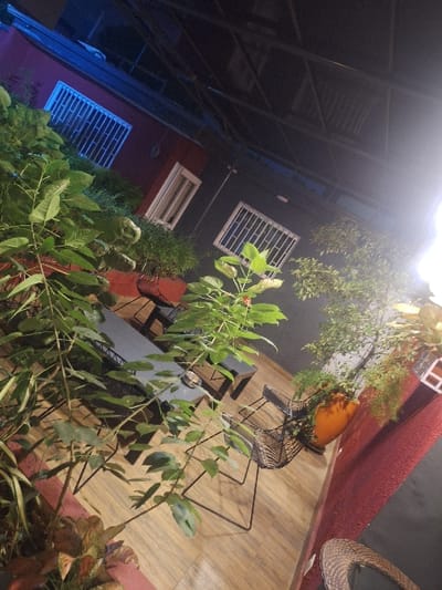 A dimly lit outdoor space features foliage in the foreground, partially obscuring a dining area with black metal chairs and tables set on a wooden surface. A vibrant orange pot sits atop a table, surrounded by greenery. Above, a building with white-framed windows is visible. The roof structure is partially seen in the upper left. The overall atmosphere is relaxed and inviting.