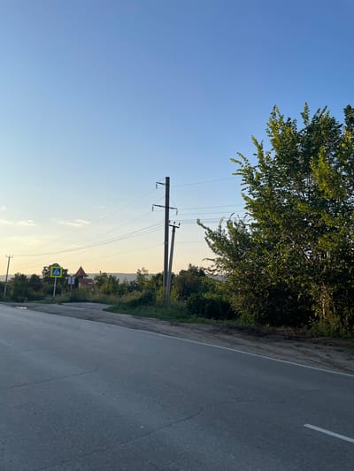 The image depicts a roadside scene in Solnechnaya Polyana, Russia. A paved road with a white stripe runs diagonally across the lower part of the frame. On the left side of the road, a pedestrian crossing sign with a blue background and a white pictogram of a person walking is visible. Behind the sign, a red building with a distinctive turret can be seen amongst trees. Power lines are strung between utility poles that punctuate the landscape. A large, leafy green tree dominates the right side of the image, its branches reaching towards the clear blue sky. The background consists of a gently rolling landscape covered in dense vegetation. The sky is a pale blue, with a hint of warmth from the setting or rising sun, indicated by a lighter hue near the horizon. The scene appears tranquil and rural.