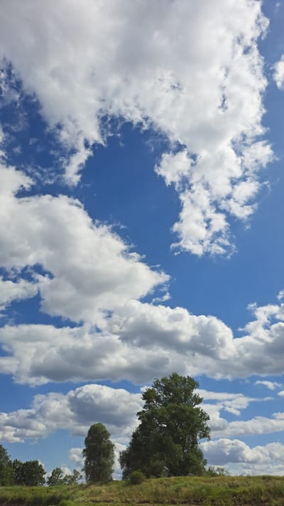 The image depicts a landscape scene with a bright blue sky filled with fluffy white clouds. In the foreground, there is a grassy hillside dotted with trees. The largest tree, a mature deciduous tree, stands prominently on the right side of the image. There are no people or man-made structures visible. The scene appears to be in a natural setting.