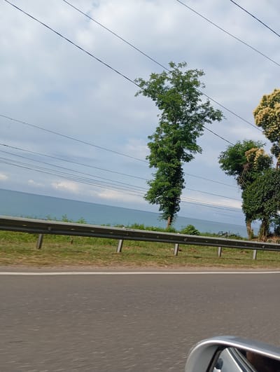 The image captures a view from a moving vehicle on a road in Primorskoe, Abkhazia, with the Black Sea on the left. The foreground shows the asphalt road, with a white line marking its edge. A silver side mirror of the vehicle is visible in the bottom right corner. Beyond the road, a metal guardrail separates the road from a grassy embankment. Further in the distance, the blue expanse of the Black Sea is visible under a cloudy sky. Several tall trees with green foliage and some with lighter, flowering branches are present along the coastline. Overhead, multiple power lines stretch across the frame against the sky. The scene appears to be a coastal road with natural scenery.