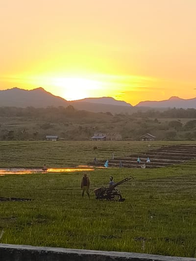 A vertical, medium-shot photograph depicts a sunset over a rural landscape in Malwatar, Indonesia. The sky is a vibrant gradient of yellow and orange, with the sun partially obscured by distant, hazy mountains. In the foreground, a field of green grass stretches towards a flooded area reflecting the sunset. Several figures are scattered across the field. In the middle ground, a man wearing a brown jacket and light-colored pants stands near a small, two-wheeled tiller. To the left, a person in the distance walks through the flooded portion of the field. Beyond the field, a few houses are visible nestled amongst trees. The overall scene conveys a tranquil, agrarian atmosphere at dusk.