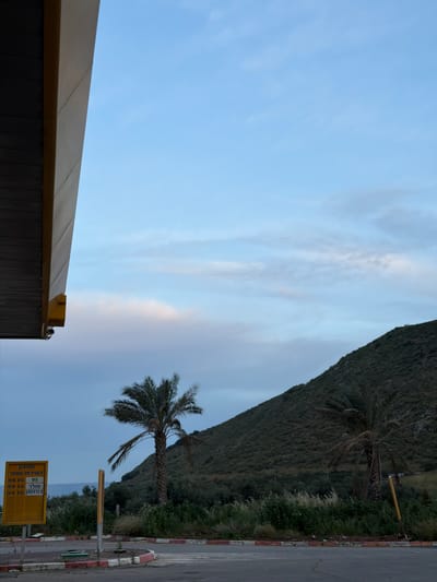 This image, when correctly oriented, depicts a serene outdoor scene in Migdal, Israel, featuring a mix of natural landscape and roadside infrastructure. On the right side, a verdant, steep mountain or hill dominates, covered in dark green vegetation. A paved road with a distinctive red and white curb runs along the base of this natural feature.
A prominent palm tree stands in the middle ground beside the road, its fronds gently silhouetted against the sky. Another, less distinct palm tree is visible further up the hill. To the left, a modern building with a dark brown, vertically paneled lower section and a flat, light brown/yellow roof is partially visible, suggesting a commercial establishment.
The sky above is a soft, clear blue with delicate, wispy clouds, indicating either early morning or late afternoon light. In the distance, a body of water, likely the Sea of Galilee, can be faintly seen between the mountain and the building.
A key detail is a yellow sign located in the lower right, displaying Hebrew text. The sign reads "תחנת דלק" (Gas Station) and "מחירון" (Price List). It lists "בשרות עצמי" (Self-service) and fuel prices: "סולר" (Diesel) at 09.55, "95" (octane) at 08.05, and "במתומ" at 09.20. There are no people visible, and no specific activities are taking place, creating a tranquil snapshot of the area.