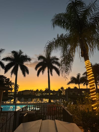 The image captures an outdoor scene at dusk or dawn in Lely, United States of America. The sky transitions from light blue-grey at the top to a vibrant orange and yellow glow at the horizon, with some dark cloud formations visible against the brighter sky. Multiple palm trees are silhouetted against this backdrop. A large palm tree on the far right features warm white string lights wrapped spirally around its trunk. In the midground, a body of water, likely a canal or lake, reflects the sky's colors and artificial lights from the opposite bank. Along this far bank, multiple-story buildings are visible, some with illuminated windows. In the lower-left quadrant, a segment of a light blue swimming pool is visible, bordered by a dark metal fence. A white "NO SMOKING" sign with a crossed-out cigarette icon is attached to this fence. The immediate foreground shows the upward-facing white surfaces of two objects, possibly inverted small boats or sun loungers, with dark foliage to their right. No individuals are present.