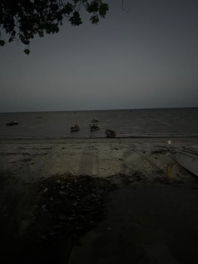 This media file captures a dark, low-light scene, likely at night or during very early morning hours, in what appears to be a coastal or riverine setting. The image is oriented vertically but depicts a horizontal landscape.
The sky, occupying a significant portion of the upper left, is uniformly dark grey, suggesting either overcast conditions or deep twilight. To the lower left, the dark silhouette of a tree with dense foliage is visible, its branches reaching into the frame.
The central and right portions of the image feature a calm body of water (consistent with a sea or estuary in Bagamoyo) that transitions into a sandy or muddy shoreline on the far right. Several dark, blocky objects are present in the water, close to the shore. These objects appear to be small, traditional fishing boats or fishing traps, possibly made of wood, and are either moored or resting on exposed mudflats during low tide. They are somewhat evenly spaced along the water's edge.
The shoreline itself is a mix of muted tones, with patches of dark debris, possibly fallen leaves, branches, or other refuse, especially concentrated in the lower right corner. The overall lighting is extremely dim, with no obvious artificial light sources illuminating the scene, contributing to a somber and tranquil atmosphere. No people or visible text are present in the image.