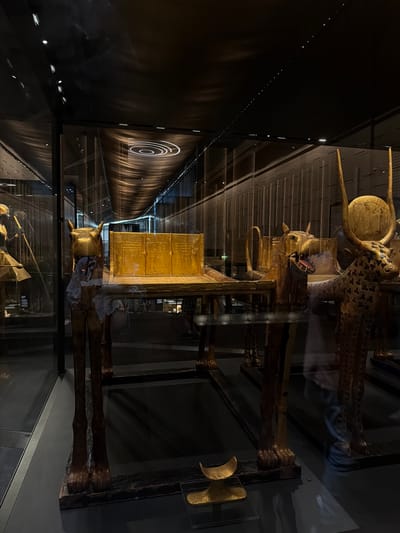 This image shows a display of ancient Egyptian artifacts, likely within a museum or exhibition. The primary subjects are several large, gilded wooden figures, some appearing to be sarcophagi or funerary statues, adorned with intricate carvings and patterns. One prominent object is a golden rectangular chest or coffin, decorated with hieroglyphs. Several figures have animalistic heads, including one with a jackal-like head and another that resembles a cat or lion. These figures are presented in a dimly lit environment, with spotlights highlighting the golden artifacts. The reflections on the glass display cases are visible, creating a layered effect.

In the background, a long, dark corridor or exhibit hall is illuminated by a series of small, white lights running along the wall. Further into the distance, a large wall display features a series of concentric white circles, possibly representing a stylized sun or a target. The overall impression is one of reverence and preservation of historical treasures. The scene suggests a curated museum display designed to showcase the opulence and artistry of ancient Egyptian burial practices and beliefs. There is no discernible text in the image, and the time of day and weather are irrelevant given the indoor, controlled environment. The emotions evoked are likely awe and curiosity about the ancient civilization. The artifacts are positioned in a way that suggests a narrative or thematic arrangement within the exhibition space.