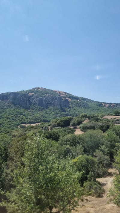 The image depicts a vast, mountainous landscape under a clear blue sky. In the foreground, dense green foliage of trees and bushes fills the lower portion of the frame, with some appearing slightly blurred, suggesting movement. Behind this lush vegetation, the midground features a rolling terrain covered in more trees and scattered dry, grassy patches. Dominating the background is a large, imposing mountain with a sheer, rocky cliff face. The upper slopes of the mountain are sparsely covered with dry grasses and small shrubs. The overall scene is natural and undeveloped, characteristic of the rugged terrain surrounding Kalambaka, Greece, known for its dramatic rock formations and natural beauty. There are no people or man-made structures clearly visible, except for what appears to be a power line stretching horizontally across the midground. The lighting suggests it is daytime, likely midday, with the sun high in the sky.