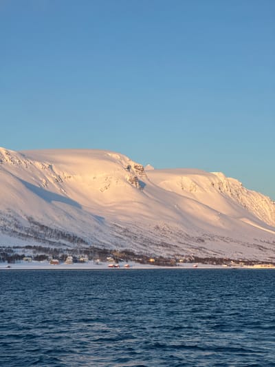The image displays a wide-angle view of the settlement of Arnøyhamn, Norway, situated along a body of water at the base of large, snow-covered mountains under a clear sky. The upper third of the frame is dominated by a light blue, cloudless sky. Below this, prominent mountains covered in deep snow stretch across the mid-ground. The snow on the mountain slopes facing the light exhibits a warm, golden hue, while areas in shadow appear cooler and darker. A band of bare trees or shrubs follows the lower contour of the mountains, just above the shoreline.

At the water's edge, approximately centrally located within the frame's horizontal dimension, a small cluster of buildings constitutes the Arnøyhamn settlement. These structures, primarily small houses with various colored roofs (some reddish-orange), are spread along the snow-covered coastline. A distinct building with a steeple, consistent with a church, is visible within the settlement. The ground between the buildings and extending to the water is covered in snow. The lower third of the image is occupied by a dark blue body of water, likely a fjord, displaying subtle ripples and texture on its surface. No individuals are visible. The scene is illuminated by low-angle sunlight, indicative of either morning or late afternoon during winter.