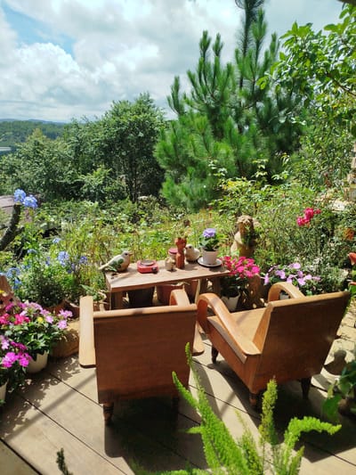 The image depicts a serene outdoor seating area nestled within a lush garden, likely situated in the city of Trường An, Vietnam. Two wooden armchairs are positioned on a wooden deck, facing a small wooden table. On the table, decorative ceramic bird figurines, a small red appliance, and potted plants are arranged amidst a backdrop of vibrant flowers and dense greenery. A large pine tree dominates the upper right portion of the scene, with a sprawling landscape of trees and hills visible in the distance under a cloudy sky. The overall ambiance is tranquil and inviting, suggesting a peaceful retreat within a natural setting.