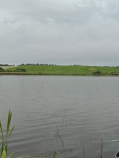 The image shows a body of water with ripples under an overcast sky. In the background, there is a gentle green hill dotted with trees and some vegetation. On the far side of the hill, a small, dark structure, possibly a shed or shelter, is visible near the water's edge. The foreground of the image is dominated by the water, with some tall green reeds on the left side and a net-like object partially visible at the bottom. The scene appears to be a natural landscape, possibly a lake or pond, in the rural area of Крошынскі сельскі Савет, Belarus. There are no people visible in the image.