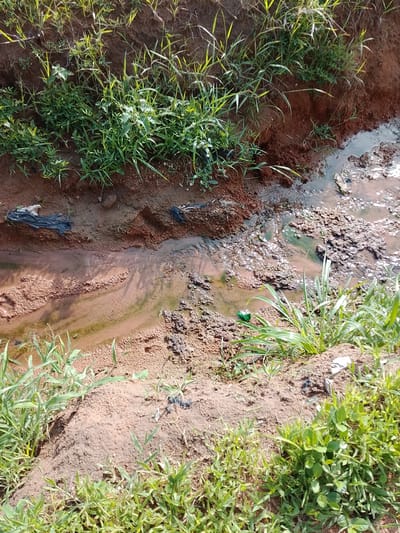 This media file depicts a close-up, high-angle shot of a small, muddy stream bed with vegetation growing along its banks. The scene is outdoors, under natural daylight, as indicated by the shadows and the bright illumination. The ground is composed of reddish-brown soil, common in many parts of Nigeria, including Gbaza.

The stream itself appears to be a narrow channel, with some areas of flowing water and others that are stagnant or have collected mud and debris. The water reflects the sunlight, creating a shimmering effect on its surface. Clumps of dark, wet soil and what appears to be some organic matter are visible in and around the stream.

Lush green grasses and other low-lying plants are abundant on both sides of the stream, their vibrant color contrasting with the earthy tones of the soil and water. Some of these plants are growing directly from the muddy banks, while others are clustered on slightly elevated mounds of earth.

Notable details include some pieces of litter, such as black plastic bags and what looks like a green wrapper, scattered along the stream banks and in the water. These items suggest a degree of human presence or influence in the area. The overall impression is one of a natural, albeit somewhat neglected, environment. The time of day appears to be midday, given the intensity of the sunlight. No people are visible in the frame. There is no discernible text in the image.
