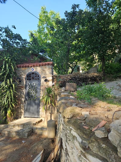 The image depicts a rustic outdoor scene in Tire, Turkey, characterized by a stone building entrance set amidst abundant greenery under a clear blue sky. The central feature is a dark grey metal door with an arched top, intricately detailed with geometric, star-like cutouts. This door is integrated into a wall constructed from varied, irregular cut stone blocks, topped by a border of red terracotta roof tiles. Directly above the door's arch, a round blue "evil eye" charm is affixed to the stone wall. Two dark-colored wall lamps with glass globes are mounted on either side of the arched doorway.
To the immediate left of the entrance, a large, multi-stemmed plant with long, sword-shaped green leaves grows beside stone steps that lead up to the doorway. A smaller, similar plant stands to the right of the door. The ground in the lower foreground is composed of dirt mixed with small stones and dry leaf litter. On the right side of the image, a low, rough-hewn stone retaining wall runs horizontally, leading to a section of a paved path made of irregular stones. Behind this wall, a substantial pile of stacked cut branches and logs is visible, accompanied by a large tree stump.
The upper portion of the image is dominated by lush green deciduous trees with dense foliage, silhouetted against a bright, unblemished blue sky. A thin, dark utility line extends diagonally across the upper left section of the sky. The scene is illuminated by strong sunlight, casting defined shadows that enhance the texture of the stone walls and the foliage. No people or animals are present in the frame.