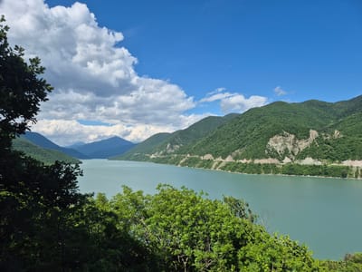 This is a horizontal, eye-level, medium shot of a large, tranquil body of water flanked by lush, green mountains under a bright blue sky with fluffy white clouds. The water is a calm, pale turquoise, reflecting the sky. The mountains rise steeply from the water's edge, covered in dense green foliage, with some exposed rocky faces and evidence of a road winding along the mountainside. In the foreground, dark green trees and foliage obscure the lower part of the image, creating a sense of depth and framing the expansive view. The overall impression is one of natural beauty and serenity. The lighting suggests it is daytime, likely late morning or early afternoon, with clear weather. The scene is set in a mountainous, natural landscape, possibly a reservoir or a large lake in a valley, consistent with the location context of Aranisi, Georgia. There is no discernible text in the image.