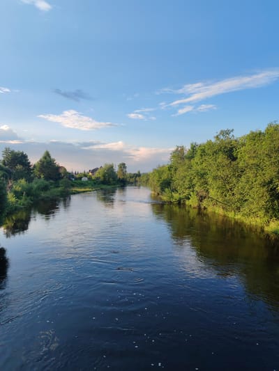 A wide, dark river flows through a rural landscape under a partly cloudy blue sky. The sun is low in the sky, casting a warm glow on the scene and creating reflections on the water's surface. On the left bank, a dense line of trees and bushes grows along the water's edge. In the distance, several houses and a greenhouse are visible amongst the trees, suggesting a small settlement. The right bank is densely forested with lush green trees. The overall mood is peaceful and serene, evoking a sense of calm summer evening. The image was taken in Kashino, Russia.