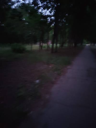 This is a blurry, dark image of a park path in Zhovti Vody, Ukraine. The path appears to be made of asphalt and is bordered by trees and grass. The lighting suggests it is either early morning or late evening, or overcast. There are no people or animals visible in the image. The image is low resolution and out of focus.