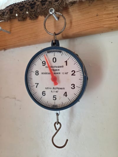 A close-up, eye-level shot shows a blue-faced spring scale hanging from a wooden beam. The scale has a white face with black markings and numbers. The red needle points slightly past the 0 mark, indicating a weight of approximately 0.1 kg. The scale is labeled in Russian with "НАИБОЛЬШИЙ ПРЕДЕЛ ВЗВЕШИВАНИЯ 10 КГ" (maximum weighing limit 10 kg) and "ЦЕНА ДЕЛЕНИЯ 0,1 КГ" (division price 0.1 kg). The scale is suspended by a metal ring and hook. Above the scale, a decorative brown trim with a looped pattern is attached to the wooden beam, and a silver screw is visible in the beam. The background is a plain, light-colored wall. The scene is indoors, likely in a utilitarian space within the city of Voskhod SNT (Frolovo), Russia.