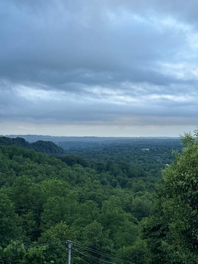 The image shows a panoramic view of a densely forested landscape under a cloudy sky. The foreground features lush green trees, with some branches and leaves visible on the right side. A utility pole with wires stretches diagonally across the lower left portion of the frame. In the mid-ground and background, rolling hills covered in more trees recede into the distance, where a hazy horizon is visible. A faint, circular light source, possibly the sun obscured by clouds or a distant artificial light, is present on the horizon. The overall scene depicts a natural environment with hints of human infrastructure. The location is described as Akydra, Abkhazia.