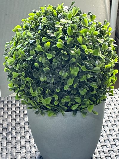 A spherical artificial plant sits in a light gray pot. The pot is positioned on a woven gray surface, likely a table. The plant's leaves are small and green, with a few appearing slightly lighter due to the lighting. The background consists of a light-colored, out-of-focus wall or surface. No people are visible in the image. The scene is indoors, with light suggesting it is daytime. There is no information or visual cues within the image to suggest a specific location in Bad Hersfeld, Germany.