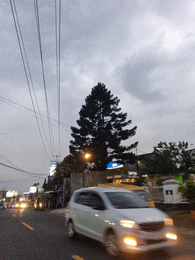 The image depicts a street scene in Phước Hòa, Vietnam, during overcast twilight or early evening. The sky is largely covered with grey clouds. Numerous overhead power lines traverse the upper left quadrant of the frame, converging towards utility poles further down the street on the left. A prominent, dark green conifer-like tree stands in the mid-ground on the right, silhouetted against the sky. Below it, an illuminated yellow streetlight casts light onto the scene.
In the immediate foreground, a light-colored (likely white or silver) minivan or small SUV is in motion, traveling from right to left, evidenced by significant motion blur. Its headlights and lower fog lights are illuminated. Partially obscured behind this vehicle is another yellow vehicle, also blurred and in motion. The asphalt road features clear yellow lane markings.
Along the left side of the road, multiple commercial buildings are visible, displaying illuminated signs, some with blue backlighting and white text, and one partially legible as "PLIMAK". Further down the road on the left, additional vehicle lights and building illuminations are present, indicating ongoing traffic and urban activity. On the right side, a low concrete or stone wall separates the road from interior structures, including a decorative white pillar-like structure and various foliage. No individual people are distinctly visible due to motion blur and distance.