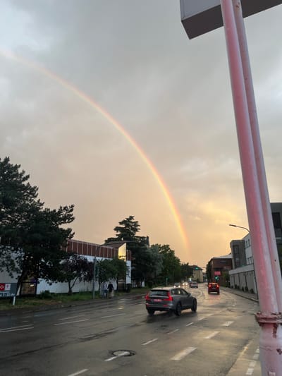 This vertical image captures a vibrant rainbow arcing across a post-rain sky above a street scene, likely in the late afternoon or early evening. The setting is Landau in der Pfalz, Germany, as indicated by textual cues and location context.

The sky is a prominent feature, displaying a mix of light grey clouds and warm, muted orange-yellow tones, suggesting the sun is low on the horizon, possibly breaking through after a shower. The rainbow, with its distinct color bands, stretches from the left mid-ground towards the upper right, contrasting beautifully with the sky.

In the foreground, two red-painted metal bars, likely part of a railing or a structural element, cross the top of the frame. To their left, a grey architectural detail is visible.

Below, a wet paved road extends into the distance, reflecting the ambient light and indicating recent rainfall. White lane markings are visible, along with a circular road marking on the right. Several cars are on the road; a dark grey Volvo wagon with a license plate "MAL RS 322" is closest to the viewer, moving away. Further down the street, a red car is stopped near a traffic light, and other vehicles can be seen.

Buildings line both sides of the street. Some are modern with grey facades, while others feature reddish-brown brickwork. Lush green trees and bushes are scattered along the road and between structures. On the left, a sign on a building reads "Autoglas". On the right, near the bottom, a partially visible red sign with a shopping cart logo displays "7 - 22 Uhr", indicating business hours. In the mid-ground, near a white wall, a few indistinct figures (people) appear to be standing or walking. A street lamp and a manhole cover are also visible.

The overall mood is calm and atmospheric, showcasing a common urban scene graced by a natural phenomenon after a rain shower.