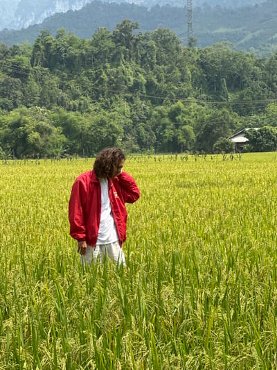 This media file captures a person standing amidst a vast, vibrant rice field under clear daylight. The person, viewed from the back-left, has curly dark hair and is dressed in a bright red jacket over a white t-shirt and light-colored pants. They are positioned centrally within the frame, looking towards the left.
The rice field, stretching across the foreground and mid-ground, displays a mix of rich green and golden-yellow hues, indicative of a crop nearing harvest. In the background, majestic green mountains covered in dense foliage rise, forming a serene backdrop. A small, light-colored building is partially visible among the trees in the mid-ground on the left side. Overhead, power lines and a distinctive metal lattice tower structure are discernible, traversing the mountainous landscape. The scene conveys a sunny day in a rural and agricultural setting, consistent with its location in Ngọc Đường Commune, Vietnam. A small white logo is present on the left chest of the person's jacket, but no specific text is legible.