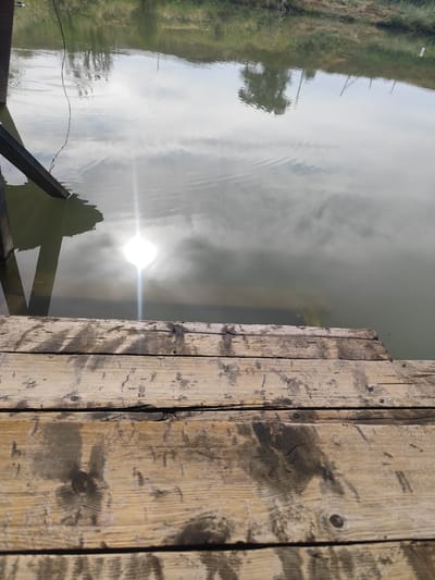 The image depicts a natural scene with a wooden dock in the foreground and a body of water reflecting the sky and surrounding vegetation. The wooden planks of the dock are weathered and worn, showing a textured surface with visible wood grain and dark stains.

The water is calm, with subtle ripples on its surface. The sun is shining brightly, creating a strong glare on the water and reflecting the cloudy sky. The reflection shows trees and greenery along the opposite bank of the water, suggesting a rural or natural setting. There are also some faint reflections of what appear to be utility poles or thin trees.

The overall impression is one of a peaceful, sunlit day by the water. The time of day appears to be morning or early afternoon, given the brightness of the sun. The weather seems clear with some clouds. The location cues, such as the type of vegetation and the presence of a simple wooden dock, are consistent with a natural environment that might be found in Dolan, Kazakhstan, as suggested by the location context. No people or text are visible in the image.