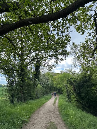 A vertical, eye-level shot shows a dirt path flanked by trees and green foliage, with two people walking away from the viewer. The path, central in the frame, recedes into the distance between the dense vegetation on either side. Two people, presumably walking together, are seen on the path; one appears to be slightly ahead of the other. Above the trees, patches of sky are visible. The shot's location is in East Cambridgeshire, United Kingdom, implied from the landscape.