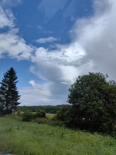 The image depicts a natural landscape under a partly cloudy sky. The foreground is dominated by tall green grass, interspersed with small white flowers. To the left, a tall, dark green evergreen tree stands prominently. To the right, a large, dense deciduous tree with dark green foliage occupies a significant portion of the mid-ground. Behind the trees, a line of darker green trees forms a forest or wooded area, with a hint of fields or open land visible further in the distance. The sky features a mix of bright blue sky and large, dramatic clouds, with some appearing white and fluffy, and others darker and more ominous, suggesting potential rain. The overall scene appears to be a rural or natural setting. The location is specified as Дзяржынскі сельскі Савет, Belarus. There are no people or animals visible in the image.