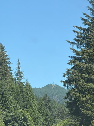 The image depicts a clear blue sky over a densely forested mountain range. Tall evergreen trees frame the scene on both the left and right sides, with their branches extending towards the center. In the distance, a prominent green mountain peak is visible, topped with a cellular tower and other communication equipment. A clear pathway or road is cut into the mountainside leading up to the tower. The overall scene suggests a natural, mountainous environment with signs of human infrastructure. The location is identified as Seaside, United States.