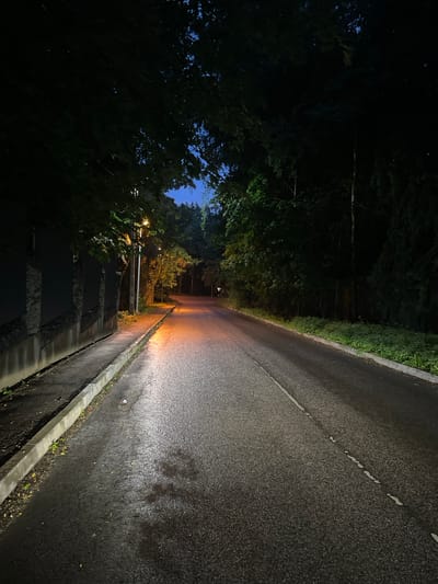 The image shows a paved road at night, lined with trees. A concrete wall is visible on the left side of the road. Streetlights cast an orange glow on the wet pavement, suggesting it may have rained recently. The environment appears to be an urban or suburban setting, possibly a residential area, given the presence of the wall and manicured greenery. The sky is dark blue, indicating it is nighttime. The road is empty, with no vehicles or pedestrians present. The overall impression is one of quiet solitude. This scene is likely located within the restricted zone of Gorki-6, Russia, a secluded government facility.