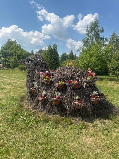 In the city of Bogdanikha, Russia, on a clear, sunny day with scattered white clouds in a blue sky, a large, decorative sculpture of a bird made of woven branches sits on a grassy lawn. The sculpture resembles a peacock or a large fowl, with a distinct head, body, and tail-like structure. The bird's body is adorned with numerous small terracotta pots containing colorful flowers and greenery. Pink, red, and white flowers are visible, along with silvery-green foliage. The sculpture is situated in an open area surrounded by trees, predominantly deciduous with lush green foliage. The grass in the foreground is a mix of green and dry patches. The scene appears to be an outdoor decorative installation in a park or garden.
