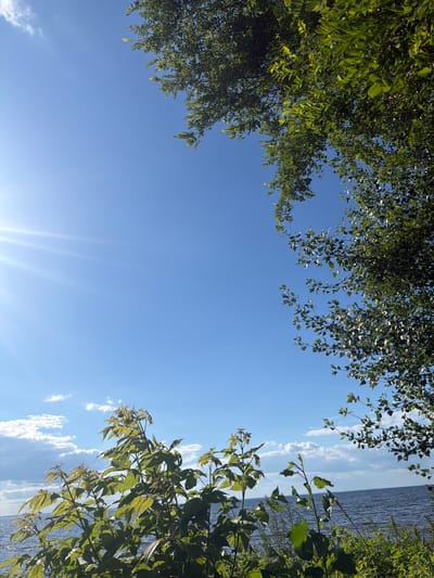 An outdoor, vertical shot captures a bright, sunny day with a clear blue sky. Sunlight streams in from the upper left, creating visible rays. Lush green foliage from trees frames the upper right and lower portions of the image. In the background, a calm body of water stretches across the horizon, with a few scattered white clouds visible in the sky above it. The scene appears to be a natural landscape, possibly a park or waterfront area. No people are present in the image.