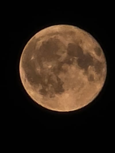 A full moon is visible against a black sky. The moon is a pale orange color and appears to have craters and other surface features. The image is a close-up shot of the moon, with no other objects or scenery visible. The location in Khojniki, Belarus is not depicted in the image.