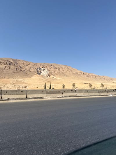 The image depicts an arid landscape under a clear blue sky in the City of Adra labor, Syria. In the foreground, a dark grey asphalt road surface occupies the lower third of the frame, with a dark, blurred shadow partially visible in the bottom right corner. A light grey concrete barrier, composed of interconnected segments with circular indentations, separates the road from the terrain. Behind the barrier, a sparse line of vegetation includes several slender, dark green evergreen trees and some lighter-colored, sparsely foliated deciduous trees. Beyond this, the midground consists of dry, light brown, undulating terrain. The background features a range of rugged, light brown mountains, with a prominent white or very light grey geological exposure or quarry visible on the slope of a central mountain. The sky above is a uniform, cloudless blue. No people, animals, or vehicles are present in the visible scene.