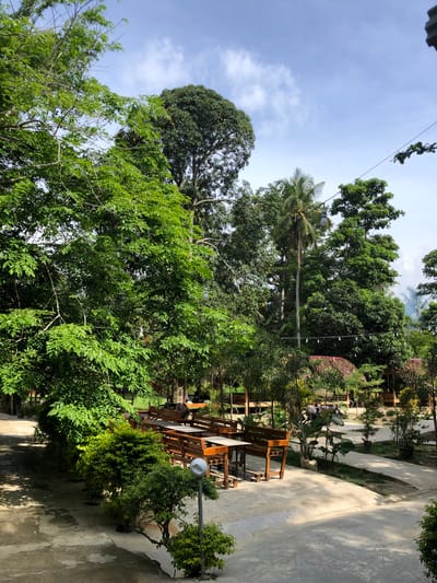 This is a medium-shot, eye-level, natural-light outdoor photograph of a seating area at a restaurant or cafe, likely located in Keudealue Ie Puteh, Indonesia. The scene is dominated by lush greenery, with large trees and smaller bushes surrounding a paved area with several wooden picnic tables and benches. The tables have light-colored tops, and the benches are made of dark wood. Some of the tables are set with what appear to be placemats.
In the background, several thatched-roof structures are visible, suggesting a rustic or tropical ambiance. String lights are hung between trees in some areas, indicating the space is also used in the evening. The sky above is partly cloudy with a bright blue hue. The paving is a light concrete material, with some areas showing shadows from the surrounding trees. No people are prominently featured in the image, though a few figures may be present in the background, partially obscured by vegetation or distance. The overall impression is one of a serene, outdoor dining environment surrounded by nature.