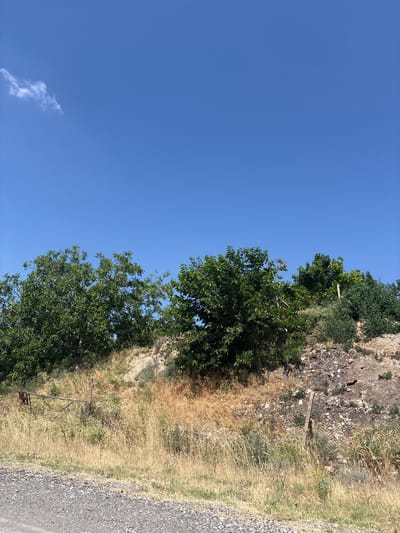 The image shows a rural landscape under a clear blue sky. In the foreground, there is a gravel road. Beyond the road, a dry, grassy slope rises, dotted with sparse vegetation and rocky patches. Several trees with dense green foliage are situated on the upper part of the slope. A rusty metal gate or fence is partially visible amidst the dry grass on the left side of the image. The scene appears to be a natural environment, possibly on the outskirts of a rural area in Paruyr Sevak, Armenia.
